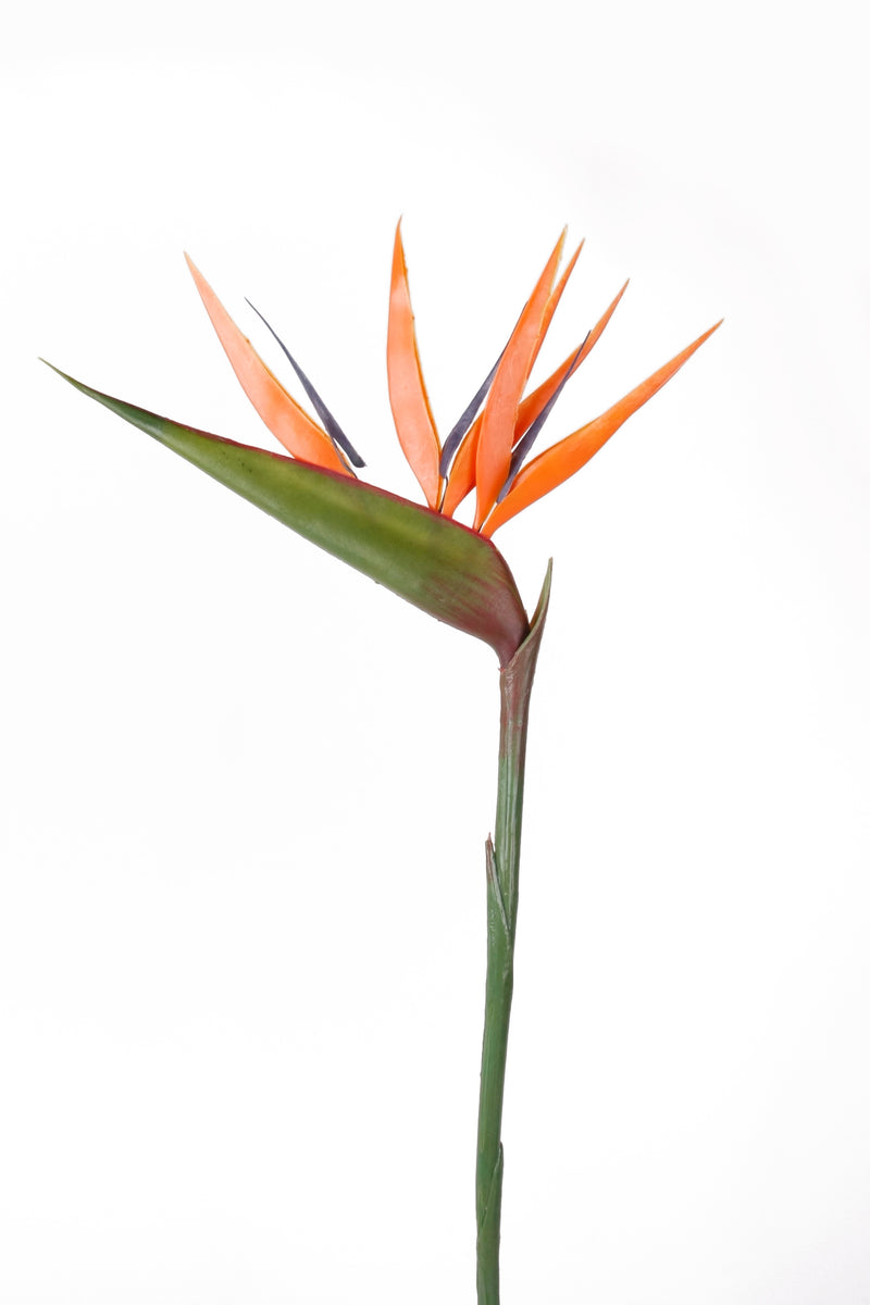 Papageienblume knstlich - 1 Stiel - Orange  Si-nature