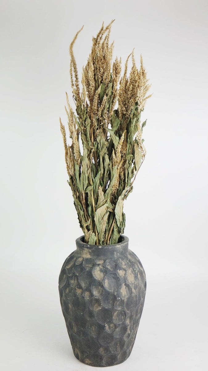 Celosia Plumosa getrocknet - 1 Bund