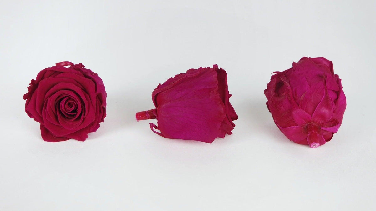 3 Künstliche Rosen Aus Latex – Hot Pink, Fühlen Sich Echt An, Langlebig Für Deko Ohne Pflege