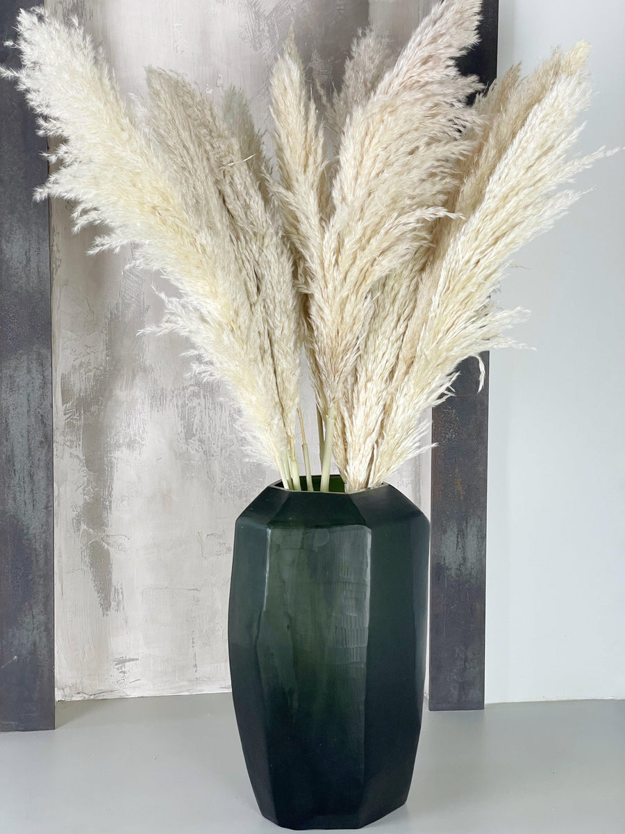 Pampasgras fluffig - Pampas Deko Boho