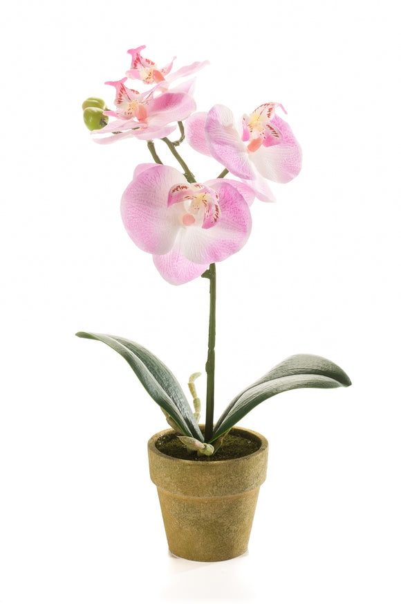Orchidee künstlich - 1 Topf