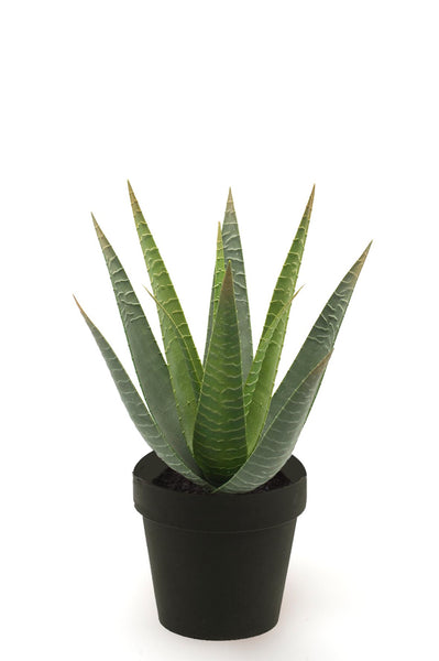 Aloe vera künstlich - 1 Topf