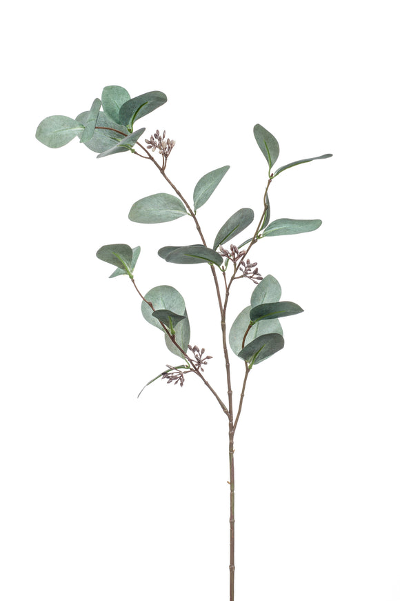 Eukalyptus Populus mit Früchten künstlich 73 cm - 1 Zweig