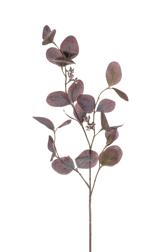 Eukalyptus Populus mit Früchten künstlich 73 cm - 1 Zweig