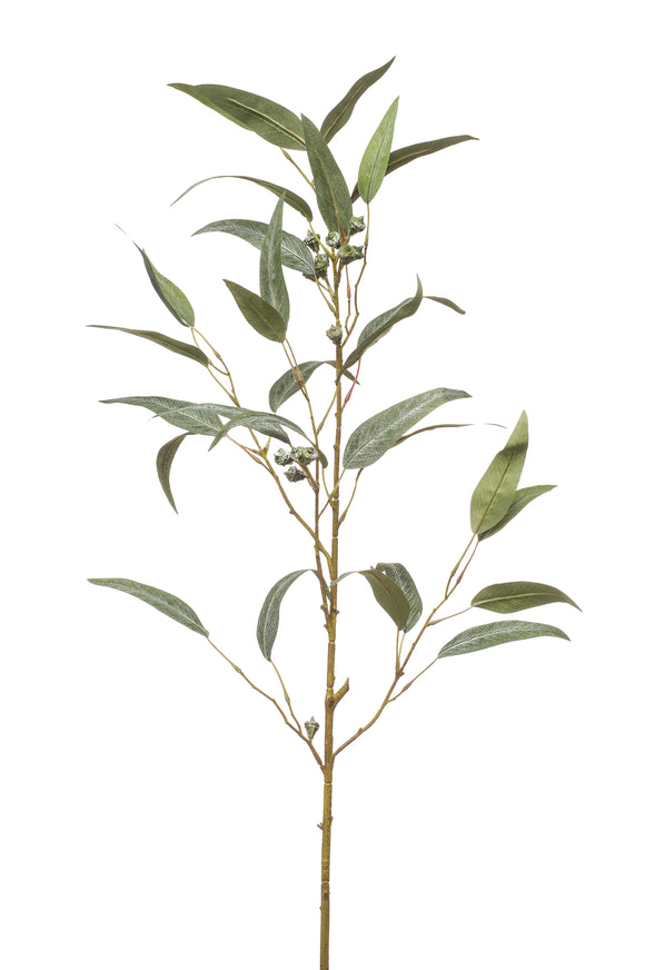 Eukalyptus Willow mit Früchten künstlich 90 cm - 1 Zweig