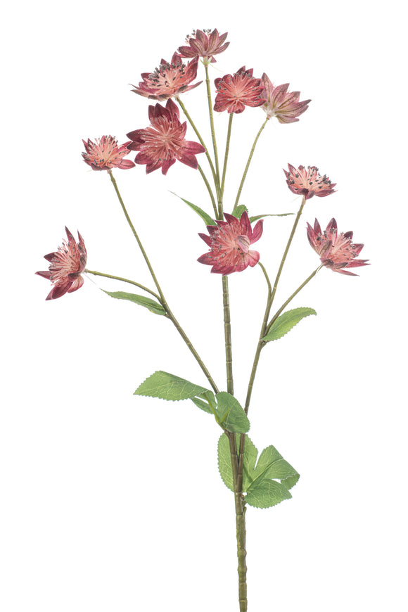 Astrantia künstlich - 1 Stiel -Dunkelrosa