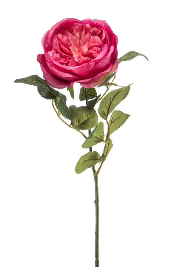 Englische Rose künstlich 65 cm - 1 Stiel