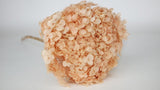 Preserved hydrangea Anna - 1 head - Peach