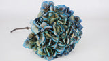 Dried hydrangea - 1 head - Blue