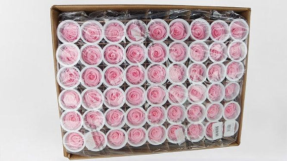Konservierte Rosen Kiara 6 cm - 1,90€/Rose Bulk 432 Stück - Bridal Pink