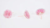 Chrysantheme mini Kogiku konserviert Earth Matters - 12 Köpfe - Sherbet Pink 102