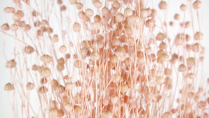 Flachs getrocknet - 1 Bund - Porcelain pink - Si-nature