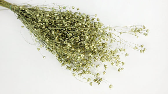 Dried flax - 1 bunch - Olive gold