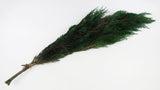 Thuja konserviert Earth Matters - 1 Bund - Green 700