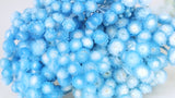 Italian strawflowers - 1 bunch - Baby blue
