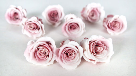 Rosen konserviert Izumi Souffle Earth Matters - 9 Köpfe - Champagne mauve 092