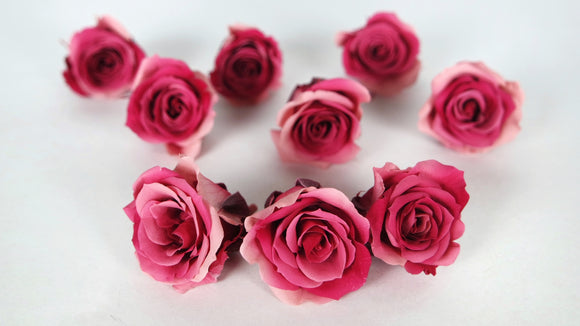 Rosen konserviert Izumi Souffle Earth Matters - 9 Köpfe - Pink ruby 182