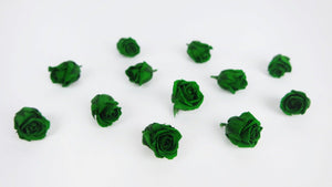 Stabilisierte Rosen Kiara 2 cm - 12 Stück - Emerald green - Si-nature