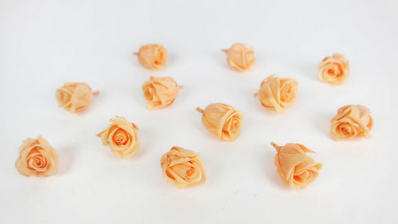 Stabilisierte Rosen Kiara  2 cm - 12 Stück - Perfect peach