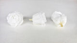 Stabilisierte Rosen Kiara 5 cm - 8 Stück - Pure white