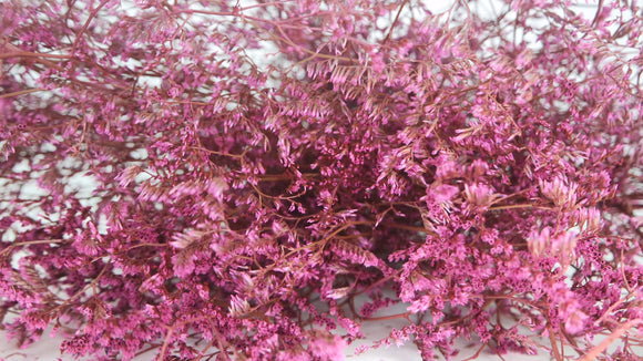 Dried limonium - 1 bunch XL - Vintage pink