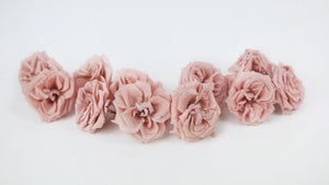 Rosen konserviert French Marianne Earth Matters - 12 Köpfe - Mauve pink 192