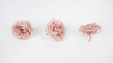 Rosen konserviert French Marianne Earth Matters - 12 Köpfe - Mauve pink 192