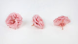 Rosen konserviert French Marianne Earth Matters - 12 Köpfe - Vanilla pink 133