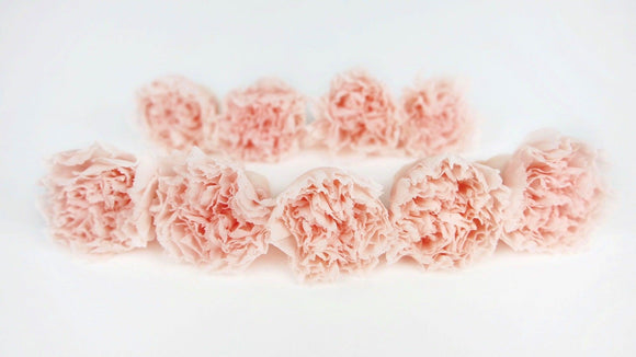 Nelken mini konserviert Kiara - 9 Stück - Pink blush