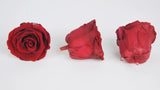Konservierte Rosen Kiara 5 cm - Bulk 378 Stück - Royal red - Si-nature