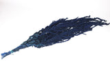 Stabilisierter Amarant - 1 Strauß - Blau