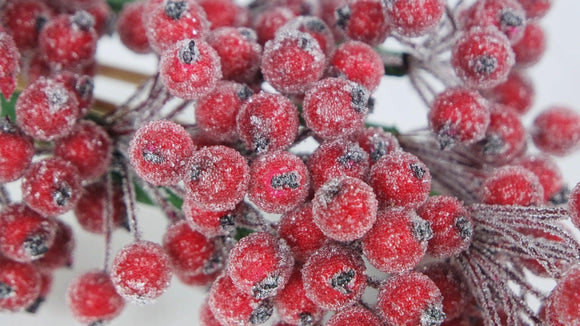 Berry cluster sugar on stem - 1 Bund - Rot - Si-nature