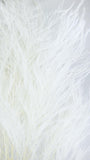 Baumfarn konserviert - 1 Bund - Weiß