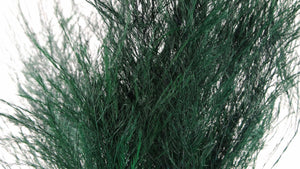 Baumfarn konserviert - 1 Strauß - Grün - Si-nature