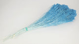 Broom Bloom getrocknet - 1 Strauß - Azurblau - Si-nature