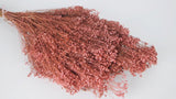 Broom Bloom getrocknet - 1 Strauß - Vintage rosa - Si-nature