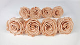 Stabilisierte Rosen Kiara 5 cm - 8 Stück - Nude - Si-nature