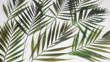 Chico Blätter konserviert - 10 Blätter - Grün - Si-nature