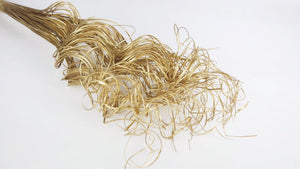 Curly Ting - 1 Bund - Gold - Si-nature