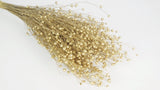 Flachs getrocknet - 1 Bund - Gold