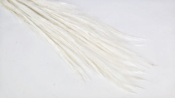 Foxtail Grass getrocknet - 1 Strauß - Weiß