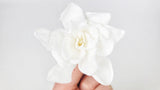 Gardenie konserviert Earth Matters - 6 Köpfe - White 011