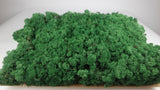 Konserviertes Islandmoos - 5 kg - Grasgrün