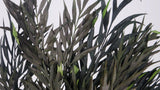 Grevillea konserviert - 1 Strauß - Grün