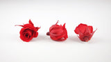 Stabilisierte Rosen 3 cm - 12 Stück - Hellrot - Si-nature