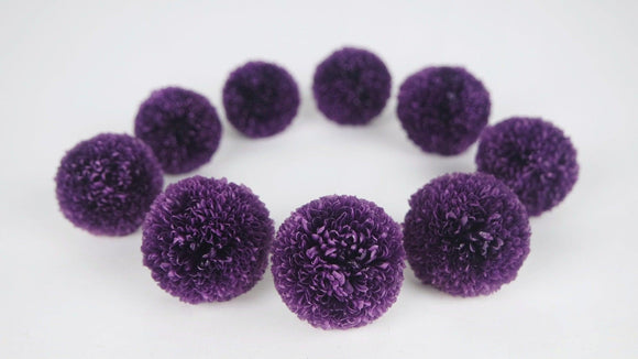 Chrysantheme Pong Pong konserviert Earth Matters - 9 Köpfe - Purple 401 - Si-nature