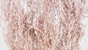 Stoebe konserviert Earth Matters - 1 Bund - Pink beige 081