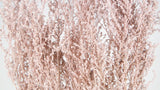 Stoebe konserviert Earth Matters - 1 Bund - Pink beige 081
