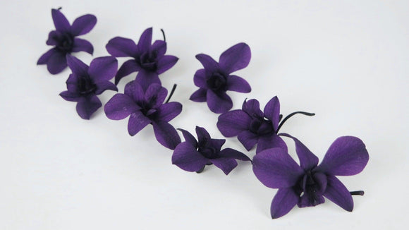 Orchidee Dendrobium konserviert Earth Matters - 8 Köpfe - Grape 461