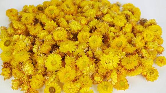 Strohblumen Köpfe - 200 g - Naturfarbe gelb